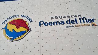 2022-11-GranCan-Poema_Del_Mar-164.jpg